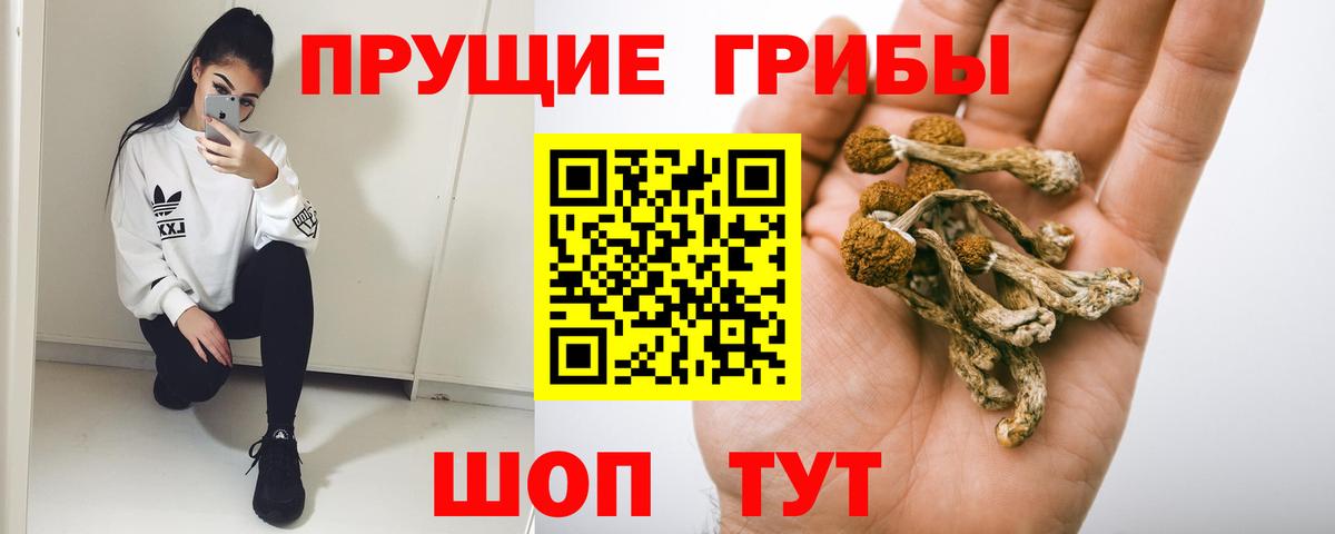 Псилоцибиновые грибы мухоморы Тихвин